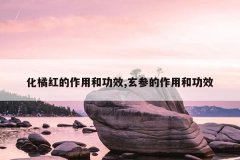 化橘红的作用和功效,玄参的作用和功效