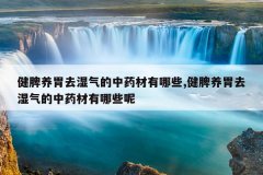 健脾养胃去湿气的中药材有哪些,健脾养胃去湿气