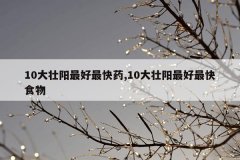 <b>10大壮阳最好最快药,10大壮阳最好最快食物</b>
