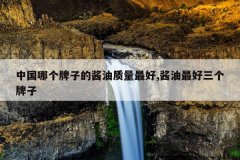 <b>中国哪个牌子的酱油质量最好,酱油最好三个牌子</b>