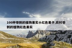 100种带刺的植物果实小红色果子,农村带刺的植物