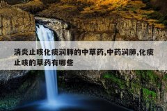 消炎止咳化痰润肺的中草药,中药润肺,化痰止咳的