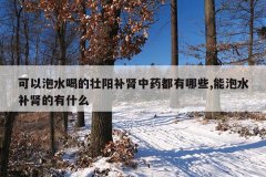 <b>可以泡水喝的壮阳补肾中药都有哪些,能泡水补肾的有什么</b>