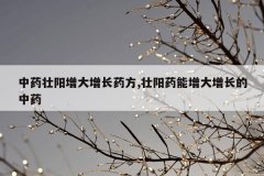 <b>中药壮阳增大增长药方,壮阳药能增大增长的中药</b>