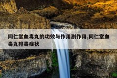 同仁堂血毒丸的功效与作用副作用,同仁堂血毒丸