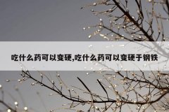 <b>吃什么药可以变硬,吃什么药可以变硬于钢铁</b>