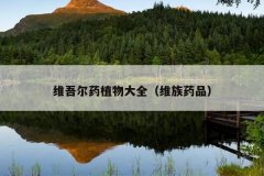 维吾尔药植物大全（维族药品）