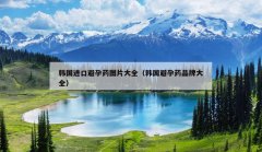 韩国进口避孕药图片大全（韩国避孕药品牌大全