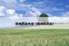 扬州药企大全（扬州的药企）