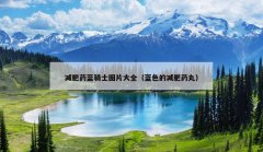 减肥药蓝骑士图片大全（蓝色的减肥药丸）