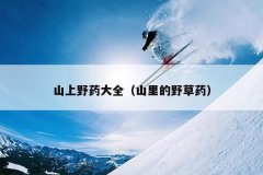 山上野药大全（山里的野草药）
