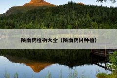 陕南药植物大全（陕南药材种植）