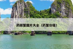 药螃蟹图片大全（药蟹价格）
