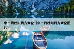 中一药壮阳药方大全（中一药壮阳药方大全图片