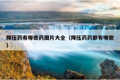 降压药有哪些药图片大全（降压药药都有哪些）