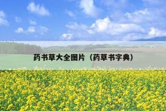 药书草大全图片（药草书字典）