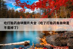 吃打胎药血块图片大全（吃了打胎药有血块是不
