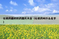 化痰药最好的药图片大全（化痰药叫什么名字）