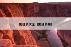 狐狸药大全（狐狸药用）